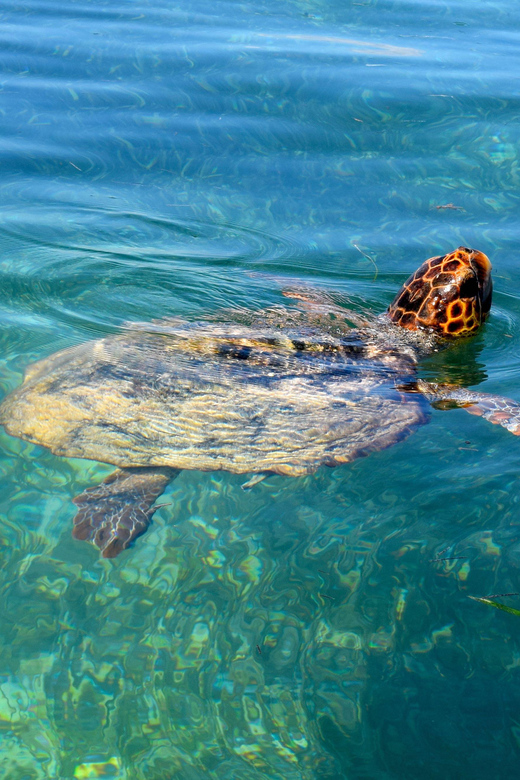 Playa Del Carmen: Sian Kaan Deluxe Boat Tour - Booking and Cancellation
