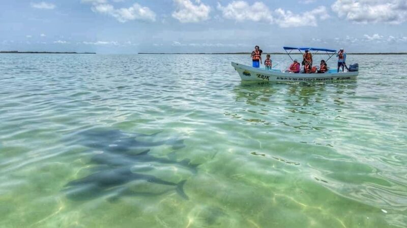 Playa Del Carmen: Sian Kaan Deluxe Boat Tour - Important Information