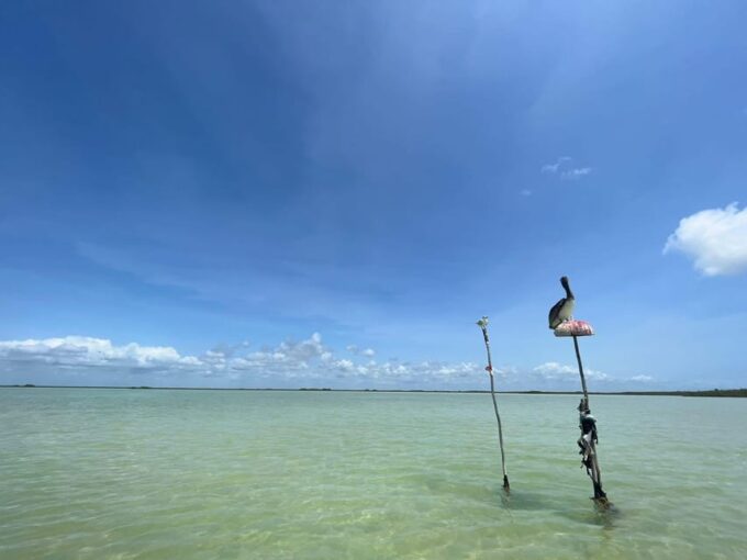 Playa Del Carmen: Sian Kaan Deluxe Boat Tour - Transportation and Accessibility