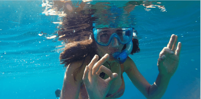 Playa Del Carmen: Snorkel Tour at Local Reef - Experience Details