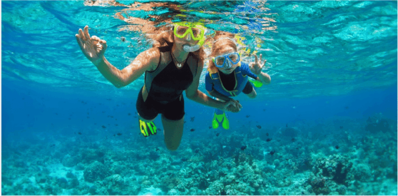Playa Del Carmen: Snorkel Tour at Local Reef - Marine Life Encounter