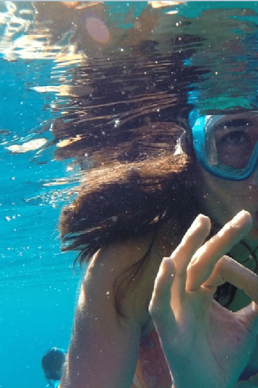Playa Del Carmen: Snorkel Tour at Local Reef - Inclusions