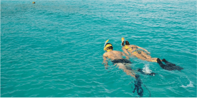 Playa Del Carmen: Snorkel Tour at Local Reef - What to Expect During the Tour