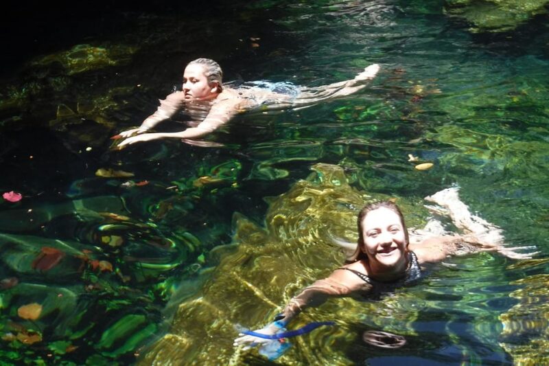 Playa Del Carmen: Snorkeling Cenote in Riviera Maya - Highlights of the Experience