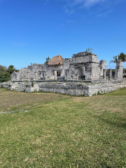 Playa Del Carmen: Tulum, Coba, Cenote & 5th Avenue Tour - Frequently Asked Questions