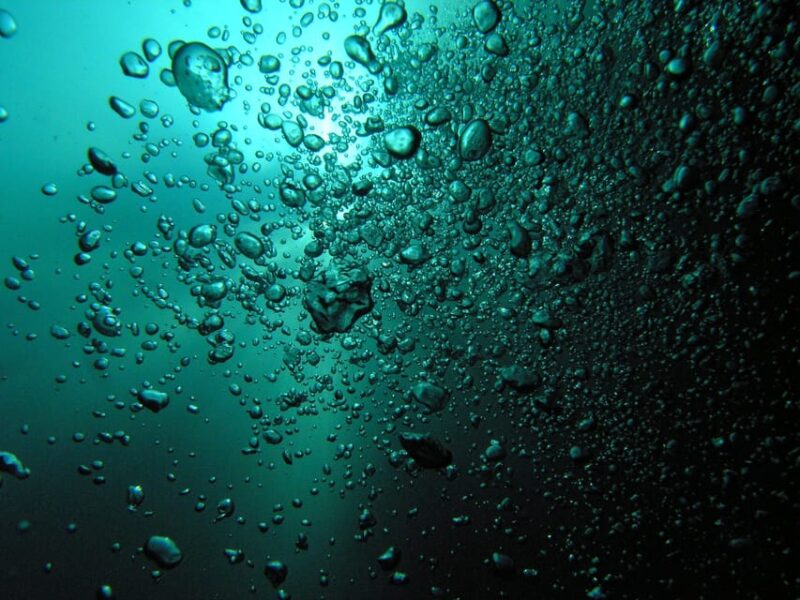 Playa Del Carmen: Unforgettable Dive at Cenote Chikin Ha - Transportation and Pick-up