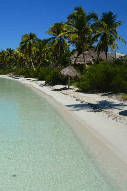 Playa Del Carmen: Visiting Isla Contoy and Isla Mujeres - Itinerary Highlights