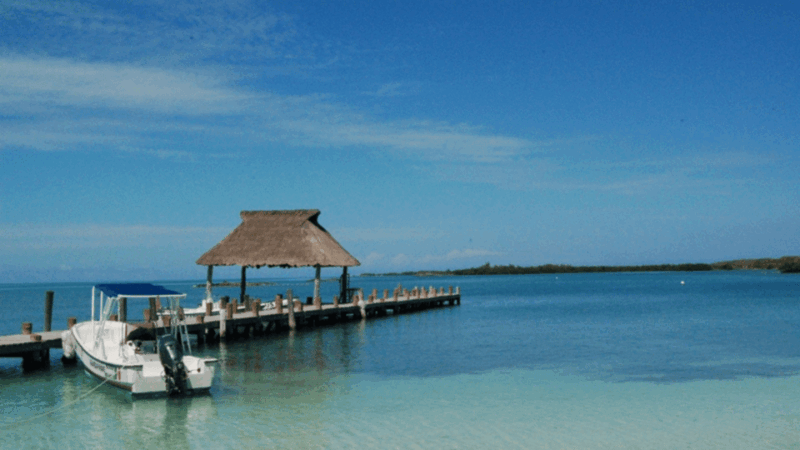 Playa Del Carmen: Visiting Isla Contoy and Isla Mujeres - Flamingos Break