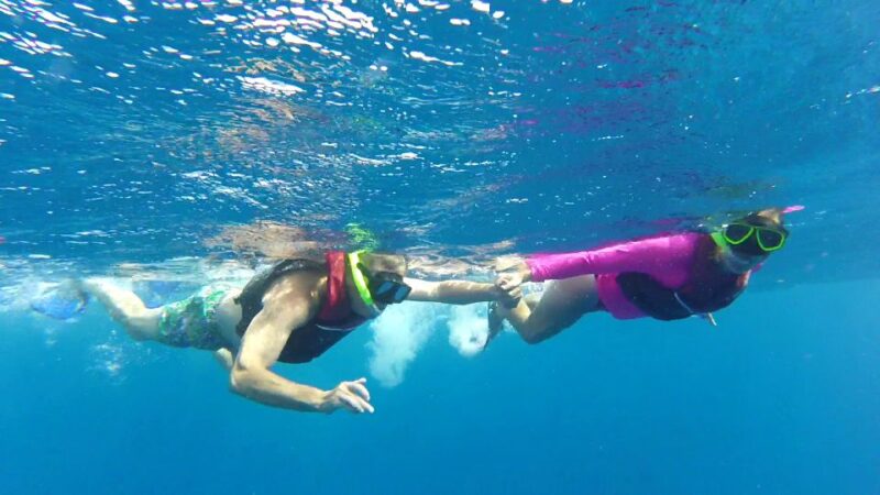 Playa Del Carmen: Whale Shark Tour - What to Expect