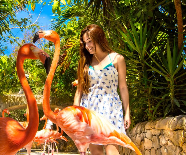 Playa Del Carmen: Xcaret Afternoon Ticket With Night Show - Key Points