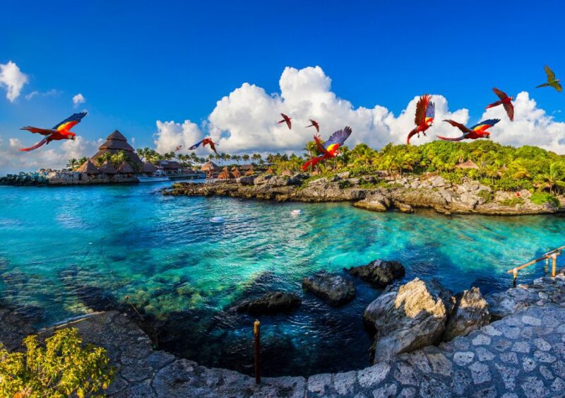Playa Del Carmen: Xcaret Afternoon Ticket With Night Show - Park Operation Hours