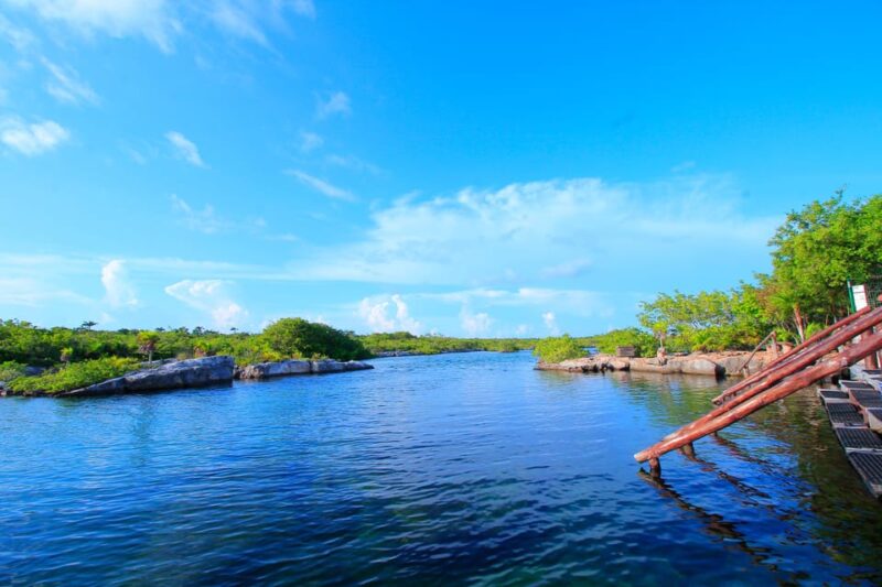 Playa Del Carmen Yalku Inlet & 2 Cenotes! Snorkel and Buffet - Key Points