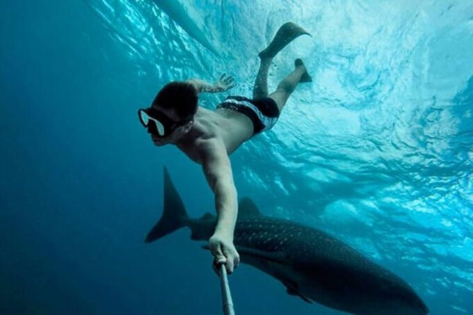 Playa Del Carmen:Whale Shark Experience in the Caribbean Sea - Cancellation and Refund Policy