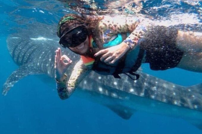 Playa Del Carmen:Whale Shark Experience in the Caribbean Sea - Pre-Booking Considerations