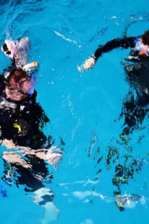 Playa: Diving Local Reef - Key Points