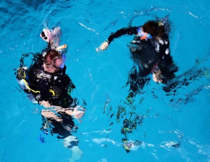 Playa: Diving Local Reef - Pricing and Reservation