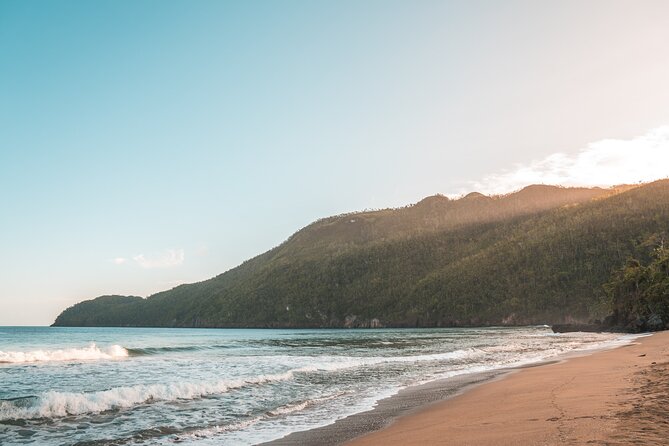 Playa El Valle Safari Adventure From Samaná Special for Cruise Ships - Experience the Natural Beauty