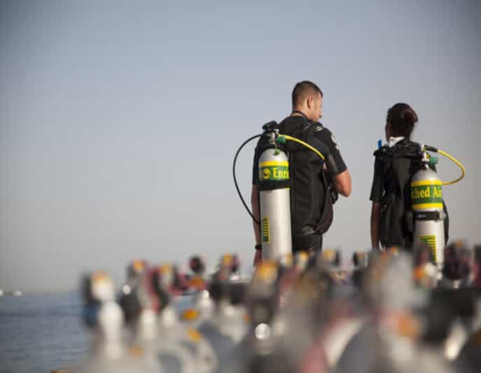 Playa: Night Dive - Experience Highlights