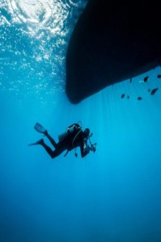 Playa: Night Dive - Inclusions