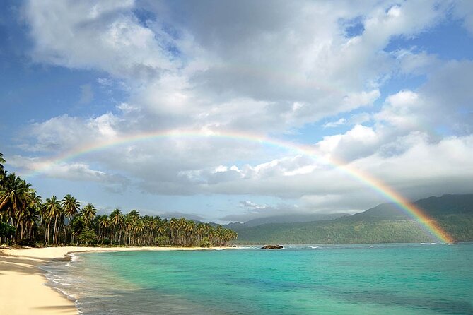 Playa Rincon Safari Adventure From Samaná Special for Cruise Ships - Highlights of the Adventure