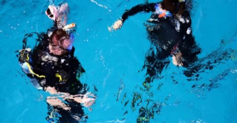 Playa: Scuba Discovery - Instructor Qualifications