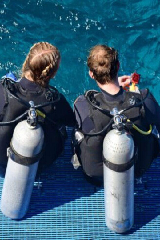 Playa: Scuba Discovery - Diving Equipment Provided