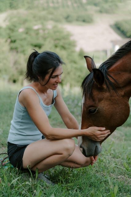 Playful Activities With Animals - What to Expect During Your Visit