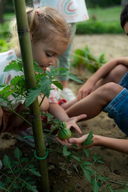 Playful Activities With Animals - Activities Included in the Experience