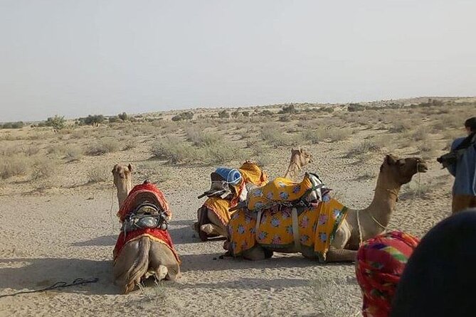 Pleasant Non-Touristic Overnight Camel Safari (From 2:00 PM to Approx. 10:30AM) - Khaba Fort Stopover
