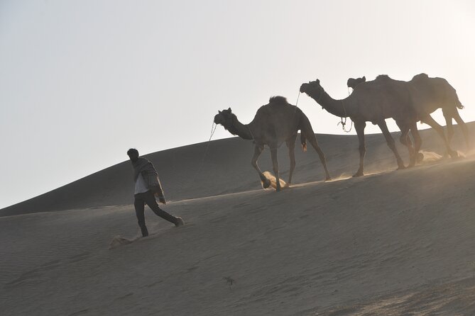 Pleasant Non-Touristic Sun Rise Tours With Breakfast on Dunes - Camel Safari Experience