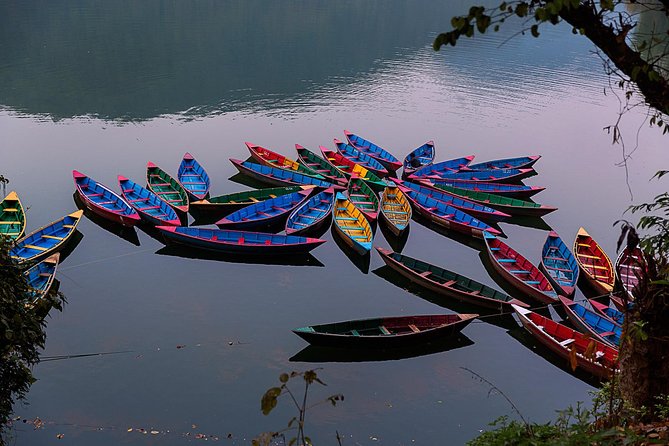 Pleasing Pokhara City With Captivating Chitwan Jungle Tour From Kathmandu - Tour Pricing