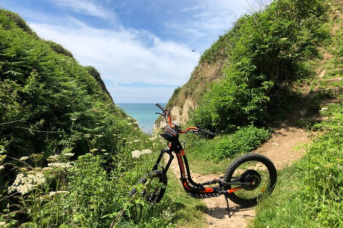Pleasure Ride on an All-Terrain Electric Scooter - Scenic Highlights