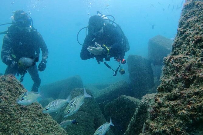 Pleasure Scuba Diving in Fujairah for Certified Diver - Pickup and Start Time