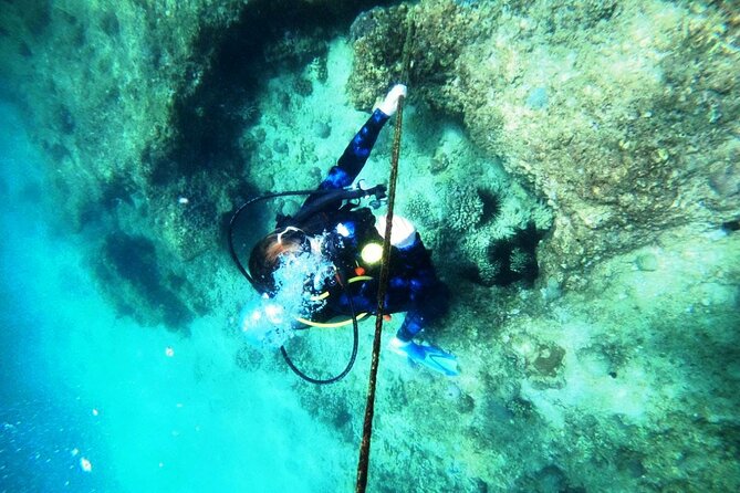 Pleasure Scuba Diving in Fujairah for Certified Diver - Location and Accessibility