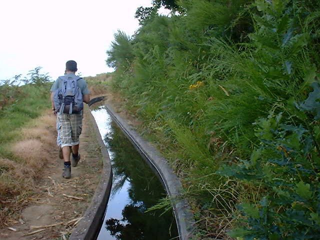 Pleasures: Full-Day Nature Walk - Guided Nature Immersion