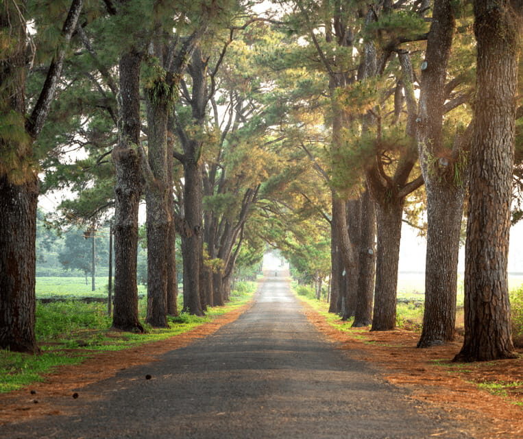 Pleiku: Culture, Landscape and Culinary Tour With Pickup - Frequently Asked Questions