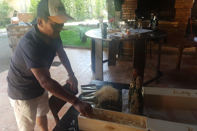Plesivica Countryside Wine Tasting - Customer Reviews and Feedback