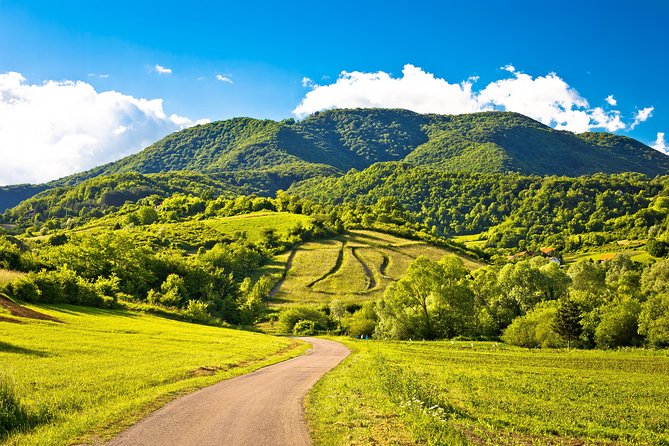 Plesivica Countryside Wine Tasting - Tour Experience and Highlights