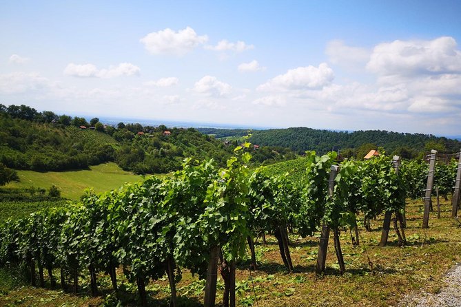Plesivica Countryside Wine Tasting - Questions About Staying Here