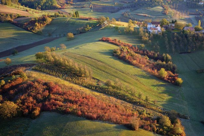 Plesivica Region Wine Tasting Half-day Tour - Transportation and Accessibility