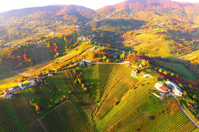 Plesivica Region Wine Tasting Half-day Tour - Booking Information