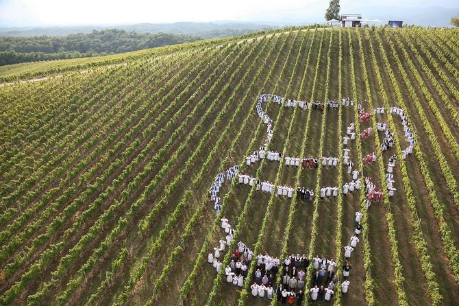 Plesivica Region Wine Tasting Half-day Tour - Frequently Asked Questions