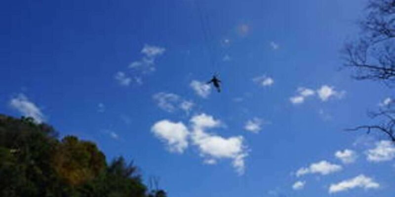 Plettenberg: 2H Zipline Tour - Safety and Equipment