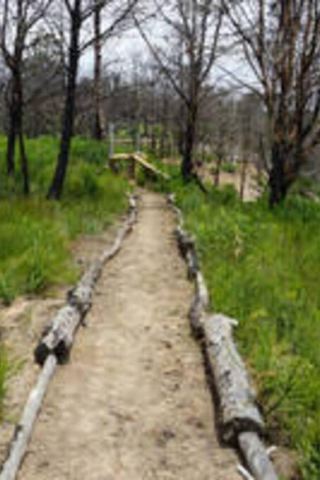 Plettenberg: 2H Zipline Tour - Restrictions and Requirements
