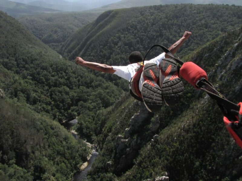 Plettenberg Bay: Bungee Jumping With Zipline and Sky Walk - Activities Included