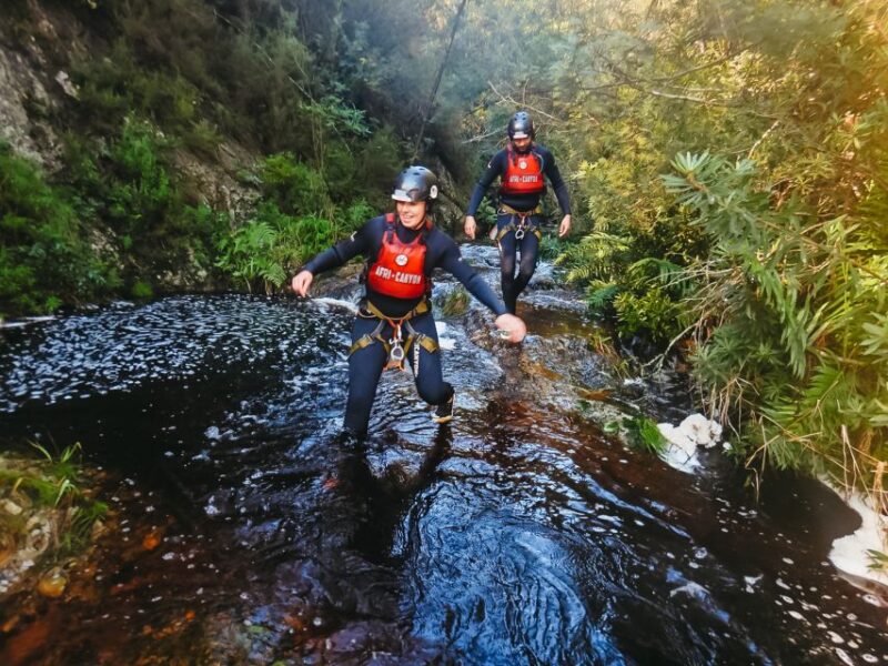 Plettenberg Bay: Canyoning Trip - Not Suitable For