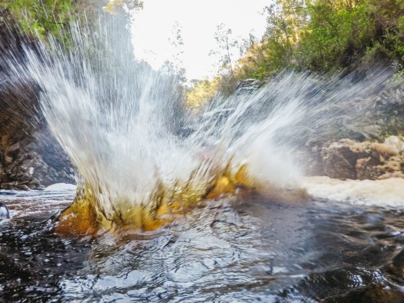 Plettenberg Bay: Canyoning Trip - Logistics