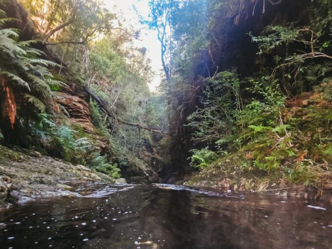 Plettenberg Bay: Canyoning Trip - Reservation and Payment