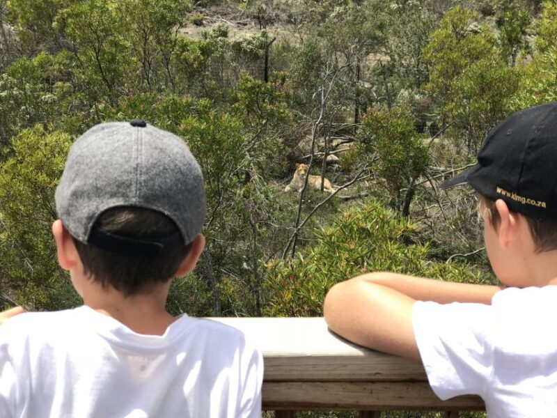 Plettenberg Bay: EcoKidz Family Challenge Wildlife Tour - Key Points