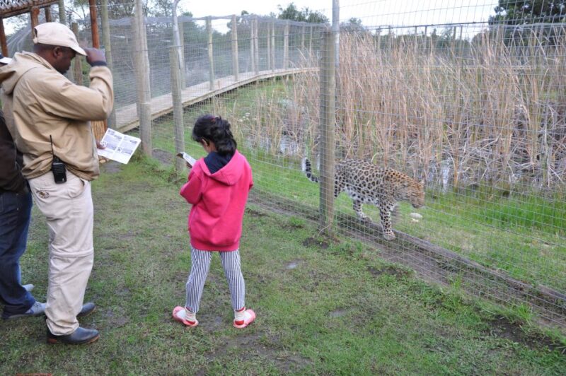 Plettenberg Bay: EcoKidz Family Challenge Wildlife Tour - Family-Friendly Itinerary